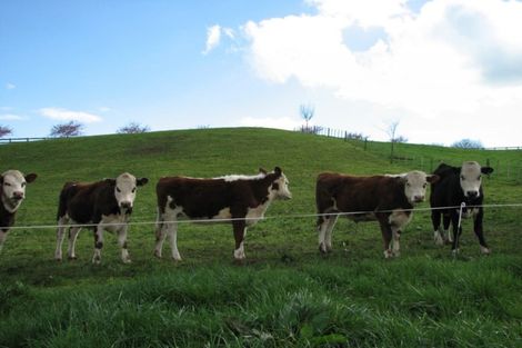 Photo of property in 35 Pinedale Road, Lichfield, Putaruru, 3482