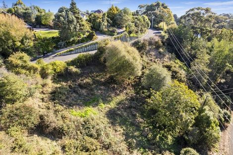 Photo of property in 45 Shakespeare Road, Bastia Hill, Wanganui, 4500