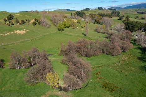 Photo of property in 739 Matahiwi Road, Matahiwi, Masterton, 5888