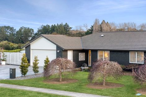 Photo of property in 29 Jarrett Terrace, Leamington, Cambridge, 3432