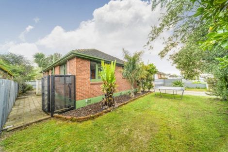 Photo of property in 115 Limbrick Street, Terrace End, Palmerston North, 4410