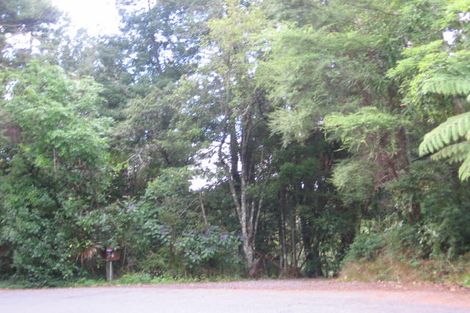 Photo of property in 34 Tanekaha Road, Titirangi, Auckland, 0604