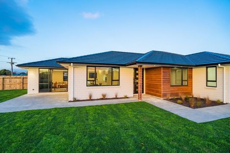 Photo of property in 239 Rangiuru Road, Otaki, 5512