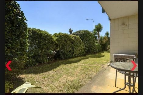Photo of property in 5/16 Park Street, Tauranga, 3110