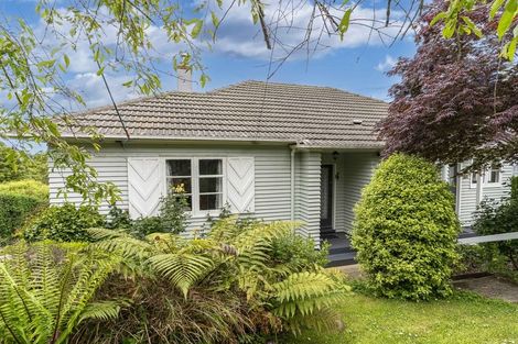 Photo of property in 52 Greenhill Avenue, Wakari, Dunedin, 9010