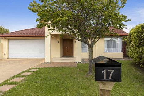 Photo of property in 17 Kendon Street, Witherlea, Blenheim, 7201