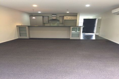 Photo of property in 25c Champion Street, Edgeware, Christchurch, 8013