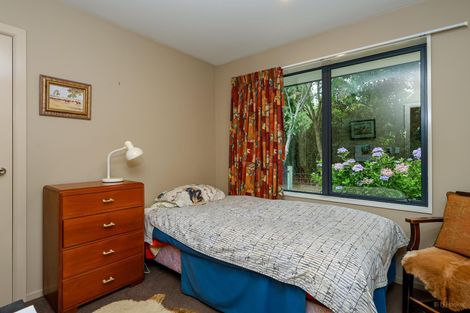 Photo of property in 266 Talbot Street, Geraldine, 7930