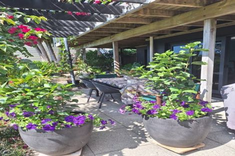 Photo of property in 59b Ohauiti Road, Hairini, Tauranga, 3112