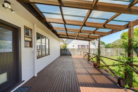 Photo of property in 478 Ruahine Street, Terrace End, Palmerston North, 4410