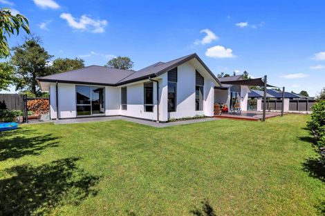 Photo of property in 8 Kelburn Place, Tinwald, Ashburton, 7700