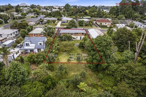 Photo of property in 37 Collingwood Street, Judea, Tauranga, 3110