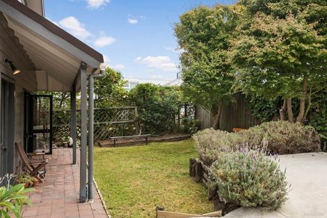 Photo of property in 3a Ascot Avenue, Henderson, Auckland, 0610