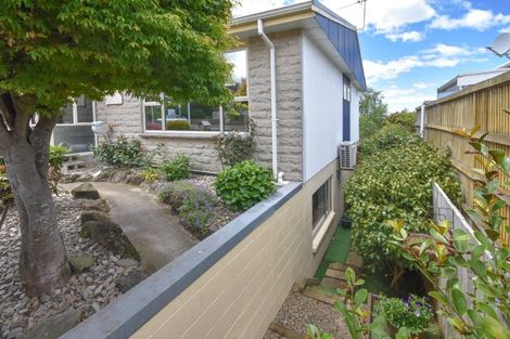 Photo of property in 37b Elgin Road, Mornington, Dunedin, 9011
