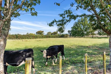 Photo of property in 653 Te Kowhai Road, Te Kowhai, Hamilton, 3288