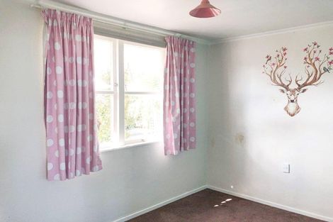 Photo of property in 70 Sedcole Street, Pahiatua, 4910