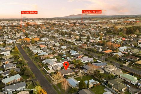 Photo of property in 19 Clematis Avenue, Pukete, Hamilton, 3200