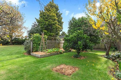 Photo of property in 8 James Street, Lincoln, 7608
