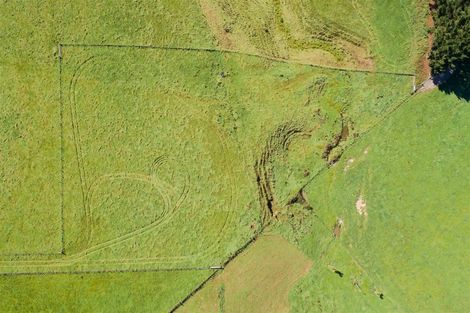 Photo of property in 172 Stewart Road, Feilding, 4479