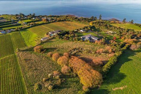 Photo of property in 50 Cliff Road, Tasman, Upper Moutere, 7173