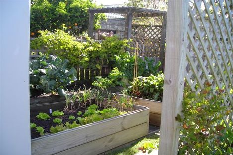 Photo of property in 57 Keepa Road, Coastlands, Whakatane, 3191