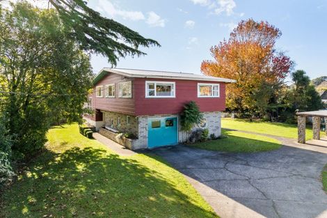 Photo of property in 43 Wakeman Street, Pahiatua, 4910