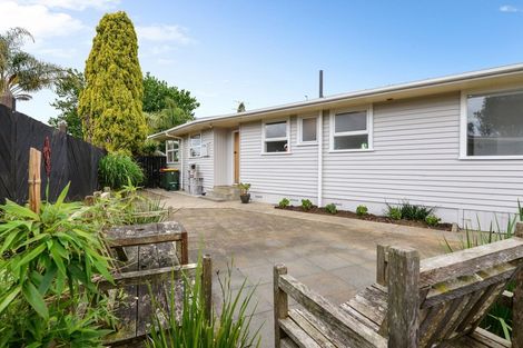 Photo of property in 69 Bruce Avenue, Glenview, Hamilton, 3206