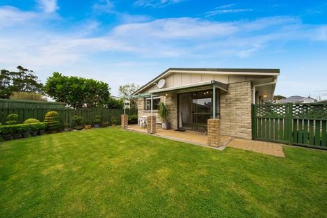 Photo of property in 13a Karamu Street, Strandon, New Plymouth, 4312