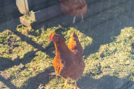 Photo of property in 6 South Featherston Road, South Featherston, Featherston, 5771