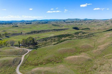 Photo of property in 300 Pattison Road, Akina, Hastings, 4122