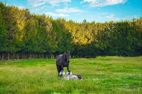 Photo of property in 242b Omaha Flats Road, Tawharanui Peninsula, 0986