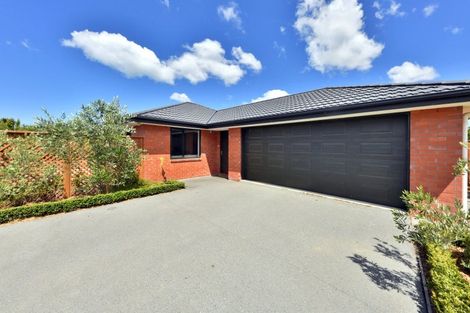 Photo of property in 100 Infinity Drive, Pegasus, 7612