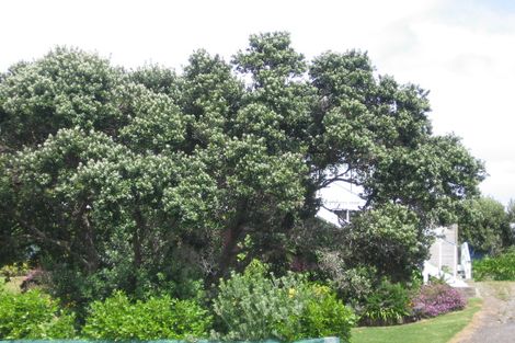 Photo of property in 118 Seaforth Road, Waihi Beach, 3611