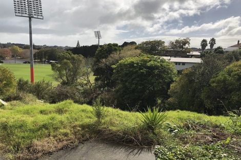 Photo of property in 20a East Street, Terrace End, Palmerston North, 4410