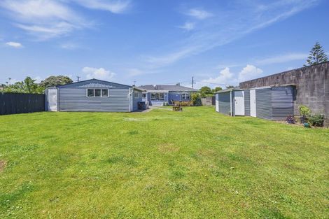 Photo of property in 14 Rata Street, Levin, 5510