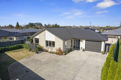 Photo of property in 9 Peter Way Place, Glenview, Hamilton, 3206