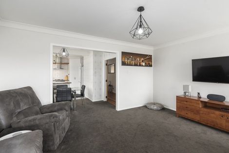 Photo of property in 12 Parsons Avenue, Levin, 5510