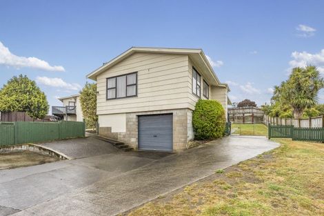 Photo of property in 42 Fraser Drive, Feilding, 4702