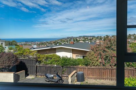 Photo of property in 161b Eglinton Road, Mornington, Dunedin, 9011