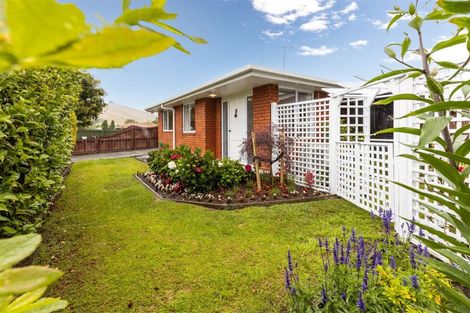 Photo of property in 176 Weld Street, Witherlea, Blenheim, 7201