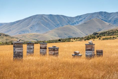 Photo of property in 7189 Wedderburn-becks Road, Wedderburn, Ranfurly, 9395