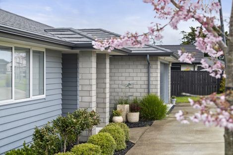 Photo of property in 62 Rapana Drive, Tuakau, 2121