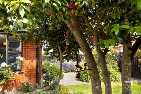 Photo of property in 17 Murphys Road, Springlands, Blenheim, 7201