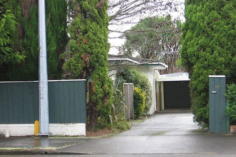Photo of property in 119 Te Awe Awe Street, Hokowhitu, Palmerston North, 4410