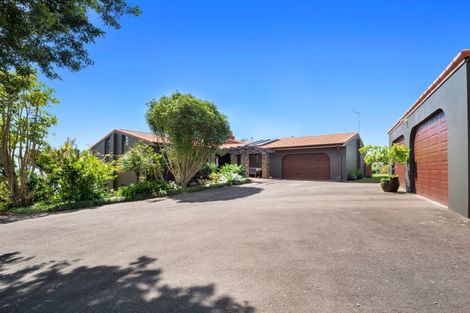Photo of property in 315 Pahoia Road, Whakamarama, Tauranga, 3172