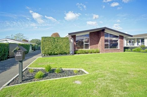 Photo of property in 58 Boucher Avenue, Te Puke, 3119