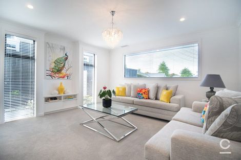 Photo of property in 91 Carmichael Road, Bethlehem, Tauranga, 3110