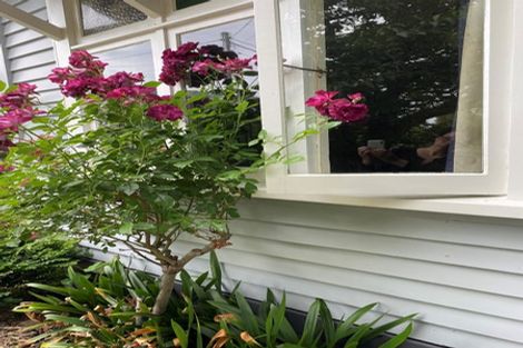 Photo of property in 6 Davy Street, Carterton, 5713