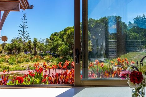 Photo of property in 106 Paetawa Road, Peka Peka, Waikanae, 5391