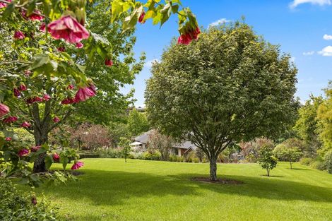 Photo of property in 26 Francis Place, Warkworth, 0984